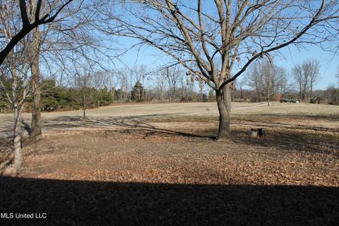 7265 Dean # C, Lake Cormorant, MS 38641