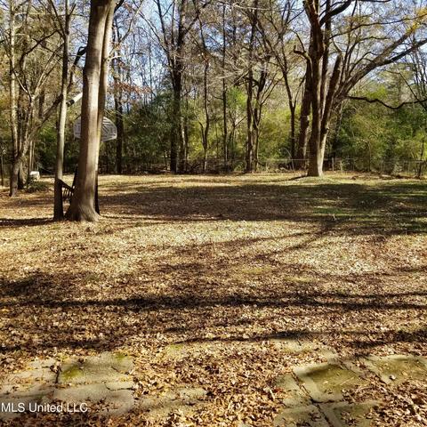 3046 Woodside Dr, Jackson, MS 39212 photo 16