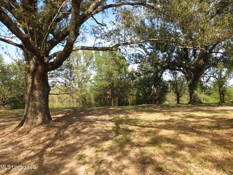 2549 S Mcraven Rd, Jackson, MS 39209 photo 5