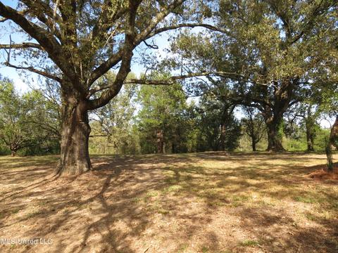 2549 S Mcraven Rd, Jackson, MS 39209 photo 8