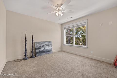 3673 Myrtlewood Dr, Hernando, MS 38632 photo 24