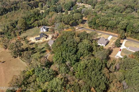 3673 Myrtlewood Dr, Hernando, MS 38632 photo 34