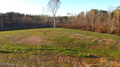 3 County Road 309, Calhoun City, MS 38916