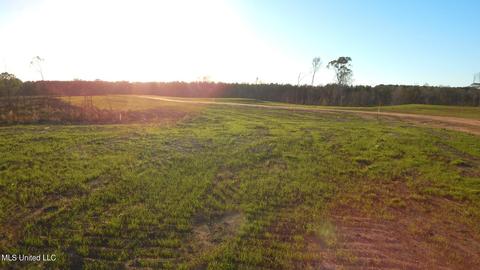 5 County Road 309, Calhoun City, MS 38916