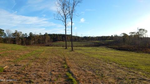 6 County Road 309, Calhoun City, MS 38916