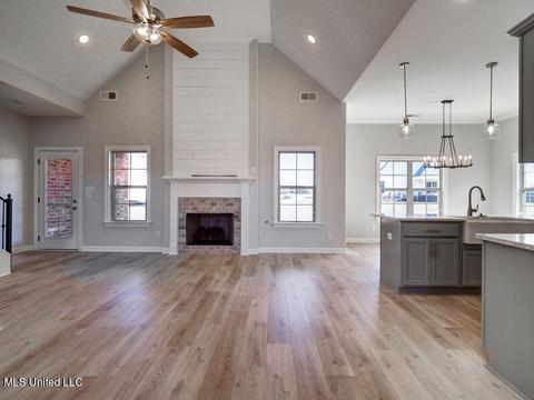 2960 Melanie Cv, Nesbit, MS 38651 photo 9