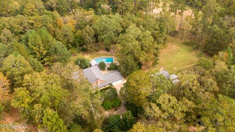 604 S Springlake Cir, Terry, MS 39170 photo 32