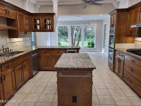 811 Audubon Point Dr, Brandon, MS 39047 photo 9