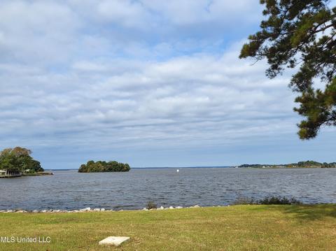 811 Audubon Point Dr, Brandon, MS 39047 photo 41