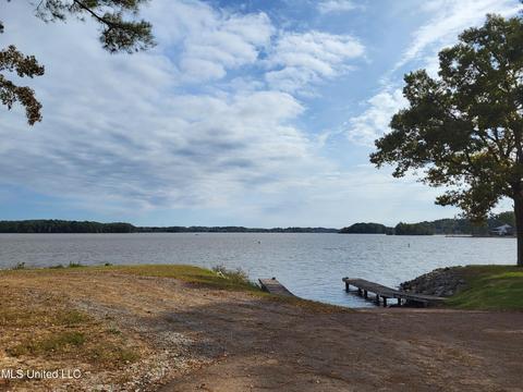 811 Audubon Point Dr, Brandon, MS 39047 photo 42