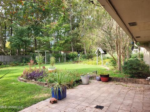 811 Audubon Point Dr, Brandon, MS 39047 photo 33