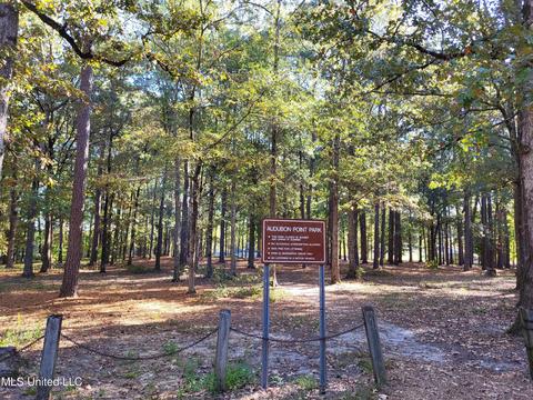 811 Audubon Point Dr, Brandon, MS 39047 photo 43