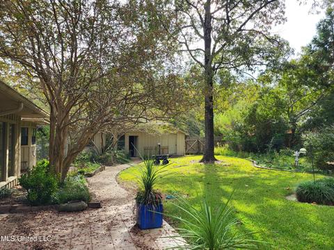 811 Audubon Point Dr, Brandon, MS 39047 photo 36