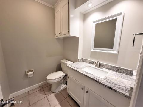 811 Audubon Point Dr, Brandon, MS 39047 photo 19