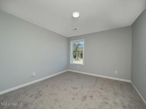 2965 Melanie Cv, Nesbit, MS 38651 photo 23