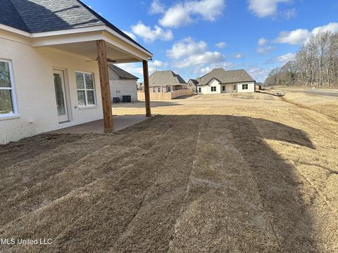 2965 Melanie Cv, Nesbit, MS 38651 photo 9