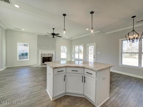 2965 Melanie Cv, Nesbit, MS 38651 photo 12