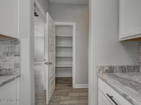 2965 Melanie Cv, Nesbit, MS 38651 photo 22
