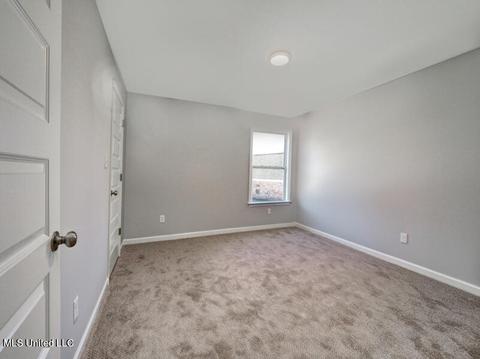 2965 Melanie Cv, Nesbit, MS 38651 photo 24