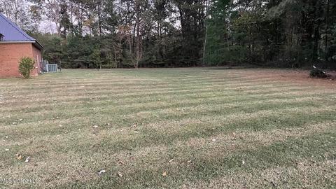 326 Winstead Rd, Forest, MS 39074 photo 33