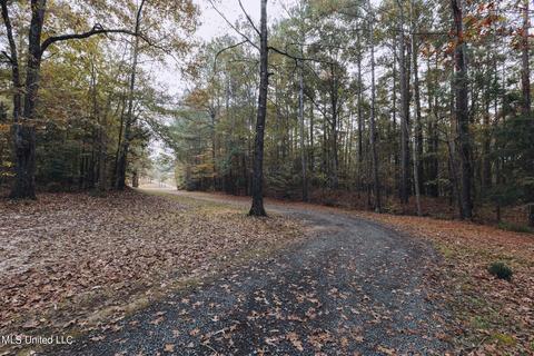 554 Cannon Dr, Brandon, MS 39042 photo 4