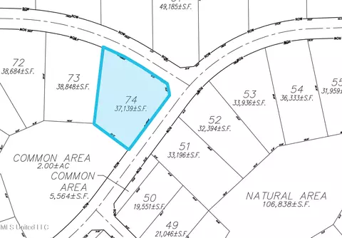 Lot 74 Les Maisons, Flowood, MS 39232