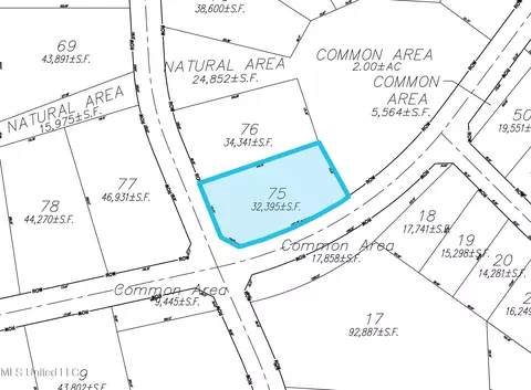 Lot 75 Les Maisons, Flowood, MS 39232