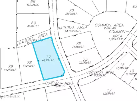 Lot 77 Les Maisons, Flowood, MS 39232