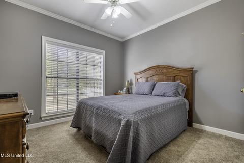 100 Pine Creek Cv, Terry, MS 39170 photo 6