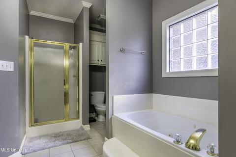 100 Pine Creek Cv, Terry, MS 39170 photo 12