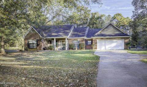 100 Pine Creek Cv, Terry, MS 39170 photo 1
