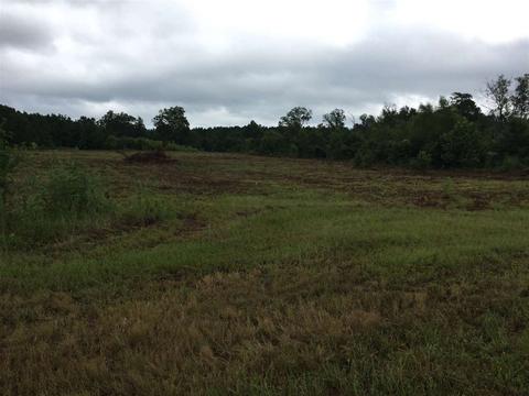 0 Highway 80 Hwy, Forest, MS 39074 photo 4