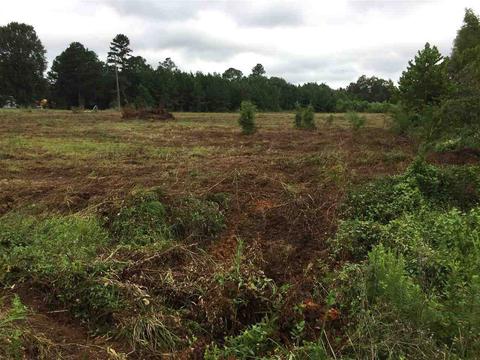 0 Highway 80 Hwy, Forest, MS 39074 photo 3