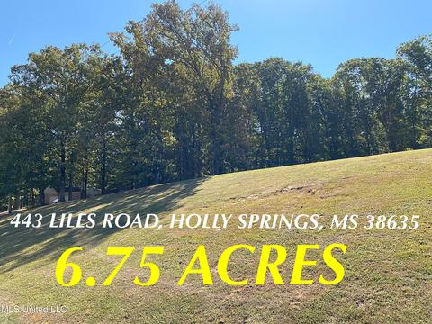 443 Liles Rd, Holly Springs, MS 38635