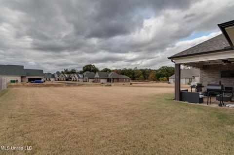5266 Watson Place Ln, Nesbit, MS 38651 photo 36