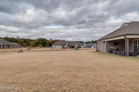 5266 Watson Place Ln, Nesbit, MS 38651 photo 37