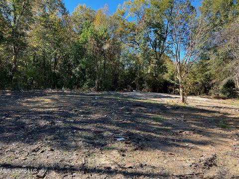 2201 Hickory Dr, Jackson, MS 39204 photo 3