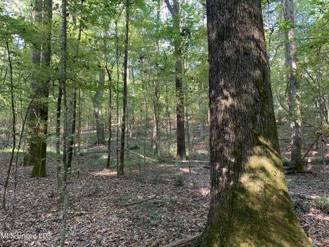 0001 Abernathy Rd, Flora, MS 39071