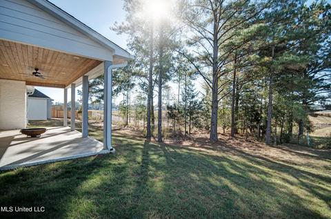 159 Shore View Dr, Madison, MS 39110 photo 33