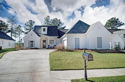 159 Shore View Dr, Madison, MS 39110 photo 1