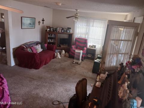 23426 Old Highway 49, Saucier, MS 39574 photo 14
