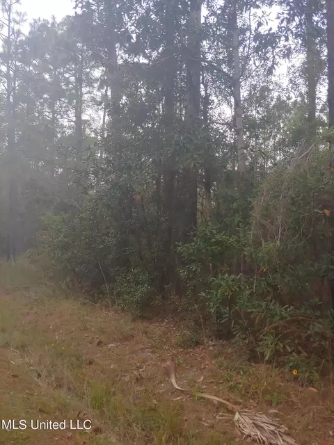E Marion Street, Bay Saint Louis, MS 39520