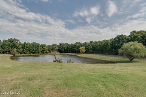 1788 Nesbit Rd, Nesbit, MS 38651 photo 57