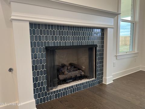 3972 Fieldstream Dr, Olive Branch, MS 38654 photo 9