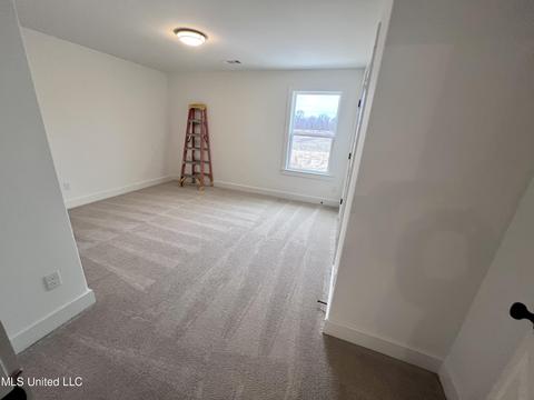 3972 Fieldstream Dr, Olive Branch, MS 38654 photo 33