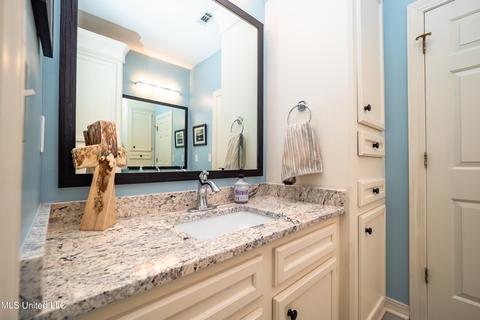 104 Lakeview Ct, Madison, MS 39110 photo 37