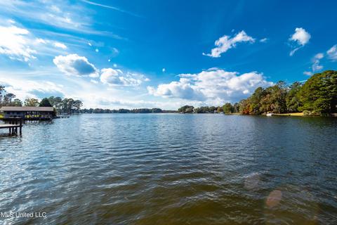 104 Lakeview Ct, Madison, MS 39110 photo 58