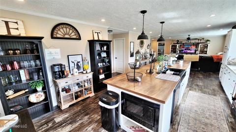 15785 Omas Rd, Vancleave, MS 39565 photo 9