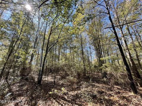 Mason Creek Rd Road, Taylorsville, MS 39168