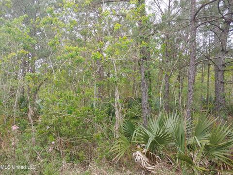 S Gulf Street, Bay Saint Louis, MS 39520